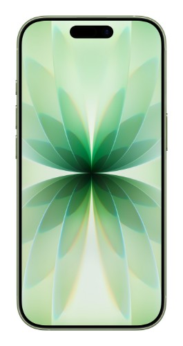 Apple iPhone 17 16 cm (6.3") Dual SIM iOS 26 5G USB Type-C 256 GB Sage
