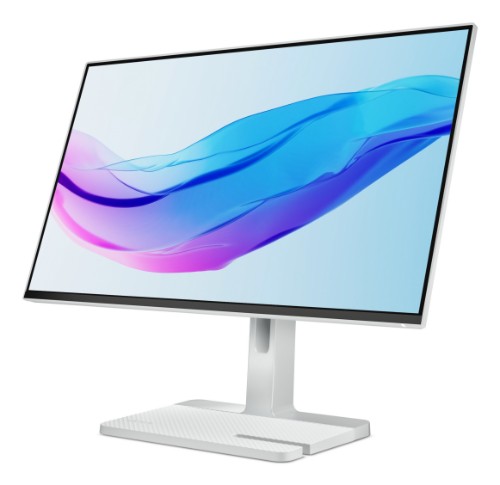 Lenovo L24m-4A computer monitor 60.5 cm (23.8") 1920 x 1080 pixels Full HD LED Grey