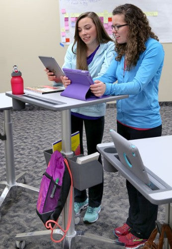 Ergotron LearnFit