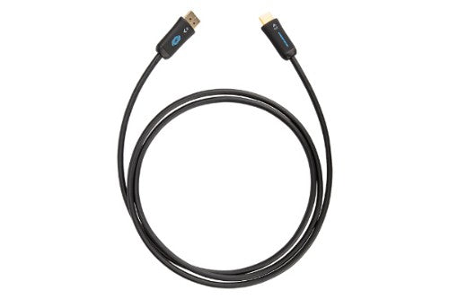 Crestron CBL-4K-DP-HD-6 cable gender changer