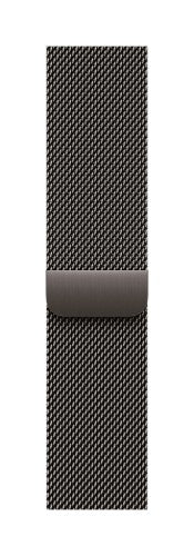 Apple MGJ74ZM/A smart wearable accessory Band Slate colour Stainless steel