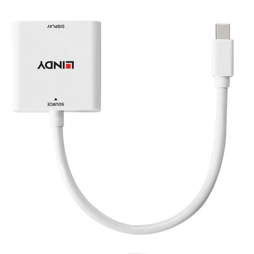 Lindy Mini DisplayPort to DVI Converter