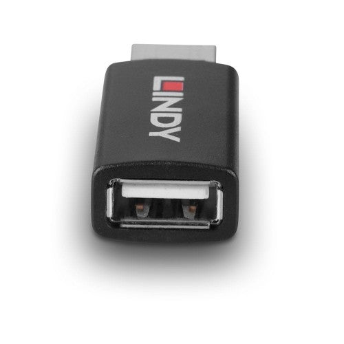 Lindy 71263 cable gender changer USB Type A Black
