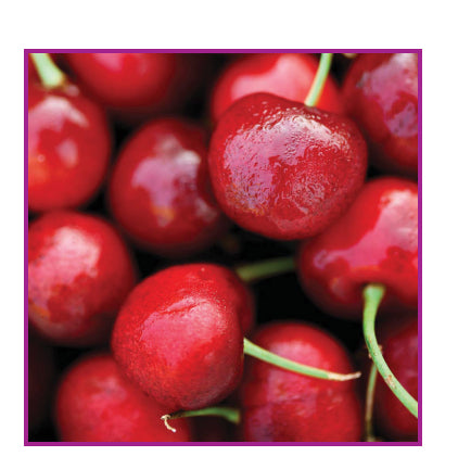 Sihl TriSolv White Gloss