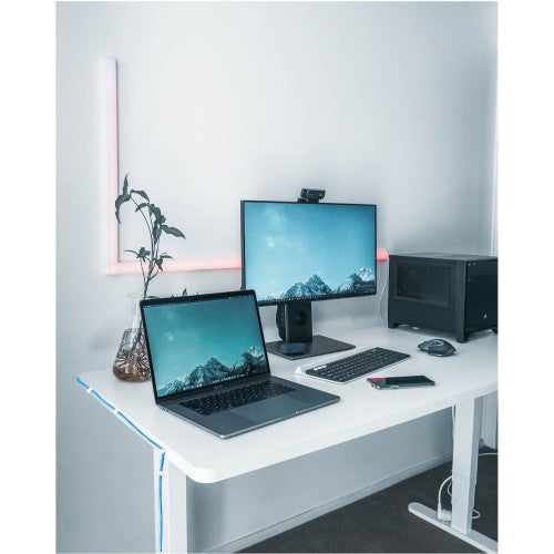 StarTech.com 100 Pack Large Cable Clips with Nail - Reusable - Nail-in Clamps - Wire Holding Clips - Ethernet Cord/AV/Coax Cable Fasteners - Brick/Drywall Mounting Cable Tacks - White - TAA