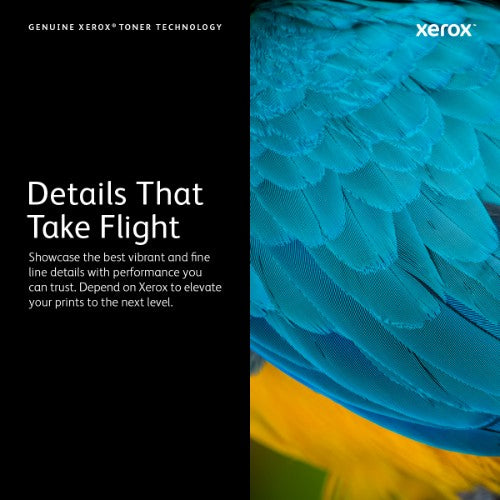 Xerox 106R03519 Toner-kit magenta high-capacity, 4.8K pages ISO/IEC 19752 for Xerox VersaLink C 400