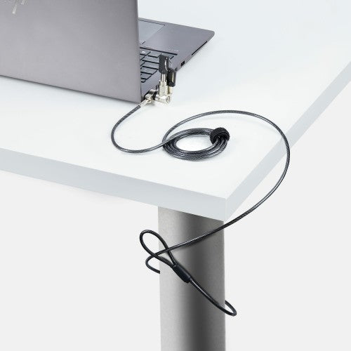 StarTech.com 25-Pack Universal Laptop Lock 6.6ft (2m), Master Keyed Locking Cable, Computer Security, Compatible w/Noble Wedge®/Nano/K-Slot; Anti-Theft Cut-Resistant Cable