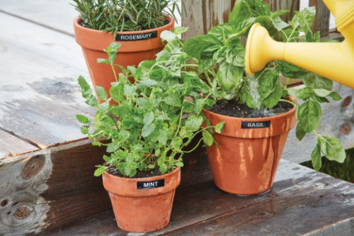 DYMO LabelManager ™ 210D+ QWERTY Kitcase