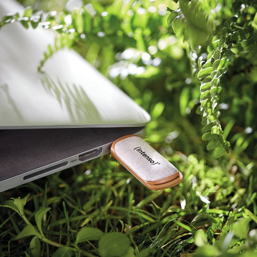 Intenso SUPER SPEED USB 3.2 32GB (TYPE A) - 32 GB USB flash drive USB Type-A 3.2 Gen 1 (3.1 Gen 1) Beige, Brown