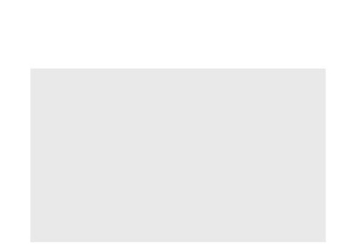 Honeywell 213-065-001 handheld mobile computer accessory