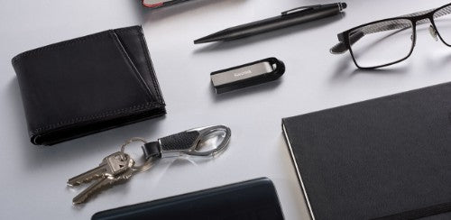 SanDisk Extreme Go USB flash drive 256 GB USB Type-A 3.2 Gen 1 (3.1 Gen 1) Stainless steel