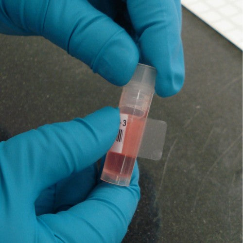 Brady B33-122-461 printer label Transparent, White Self-adhesive printer label