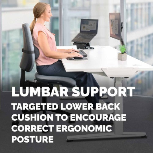 Fellowes Back Support for Office Chair Breyta Lumbar Cushion