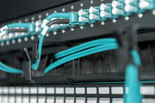 Digitus Cable Management Panel with Brush Entries for 483 mm (19") Cabinets, 1U