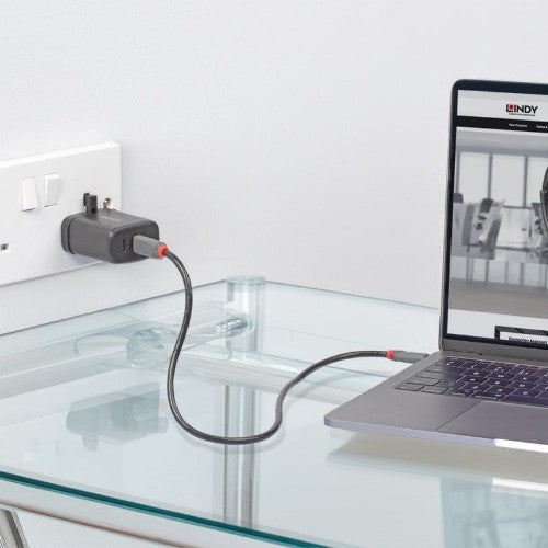 Lindy 65W USB 2 x Type C Charger
