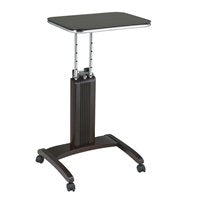 Multimedia Carts & Stands