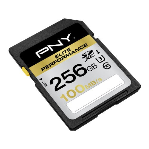 PNY 256GB SDXC class 10 UHS-I
