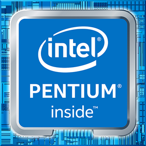 Zebra XSLATE L10 Intel® Pentium® 256 GB 25.6 cm (10.1") 8 GB Wi-Fi 5 (802.11ac) Windows 10 Pro Black