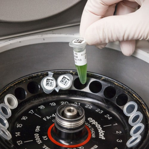 Brady THT-144-492-1.5-SC printer label White Self-adhesive printer label