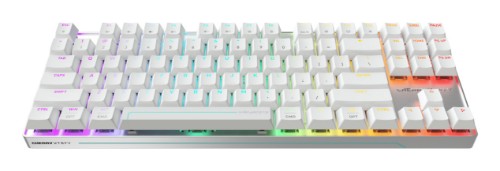 CHERRY MX 8.2 Pro TMR Wireless keyboard Gaming USB + RF Wireless + Bluetooth QWERTY US International Silver, White