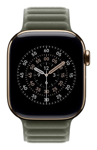 Apple 42mm Sage Grey Magnetic Link - M/L