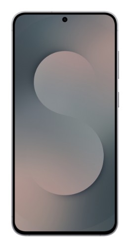 Samsung Galaxy S25 FE SM-S731B/DS 17 cm (6.7") Dual SIM Android 16.0 5G USB Type-C 8 GB 256 GB 4900 mAh Black