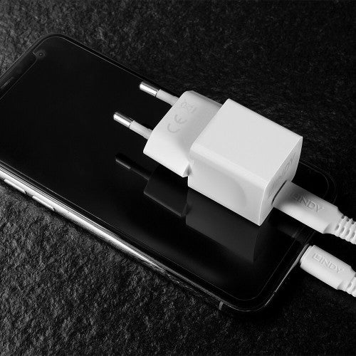 Lindy 73410 mobile device charger Smartphone White AC Indoor