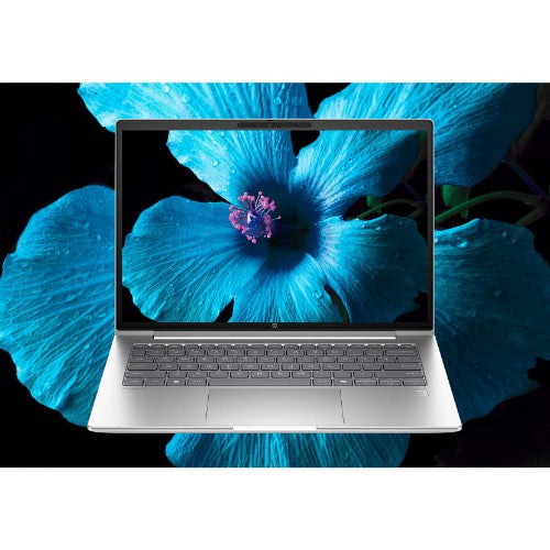 HP ProBook 4 G1i 14 inch Notebook AI PC Wolf Pro Security Edition Intel Core Ultra 5 225H Laptop 35.6 cm (14") WUXGA 32 GB DDR5-SDRAM 1 TB SSD Wi-Fi 7 (802.11be) Windows 11 Pro Silver