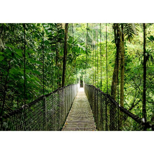 HP EliteBook 6 G1ah AMD Ryzen™ 5 220 Laptop 35.6 cm (14") WUXGA 24 GB DDR5-SDRAM 512 GB SSD Wi-Fi 6E (802.11ax) Windows 11 Pro AI PC Silver