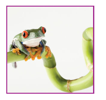 Sihl TrueColor White Matt