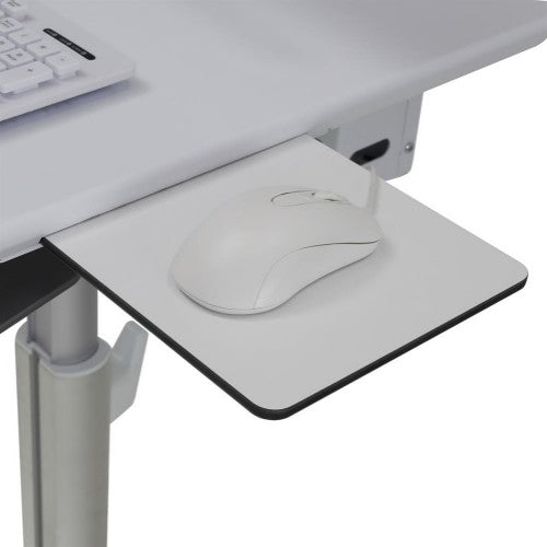 Ergotron SV10-1300-0 desktop sit-stand workplace