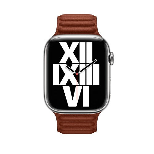 Apple MP853ZM/A Smart Wearable Accessories Band Brown Leather