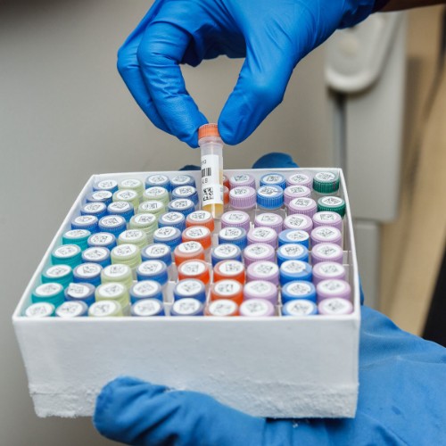 Brady B33-144-499 printer label White Self-adhesive printer label