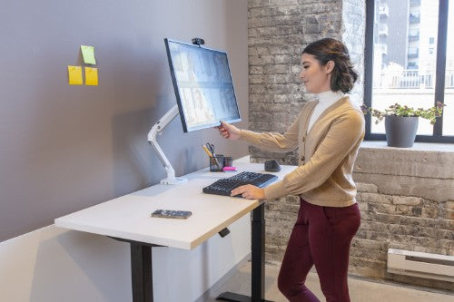 Ergotron MXV Series MXV Desk Monitor Arm 86.4 cm (34") White