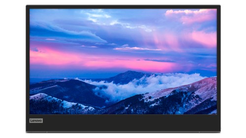 Lenovo L15 computer monitor 39.6 cm (15.6") 1920 x 1080 pixels Full HD LED Black, Grey