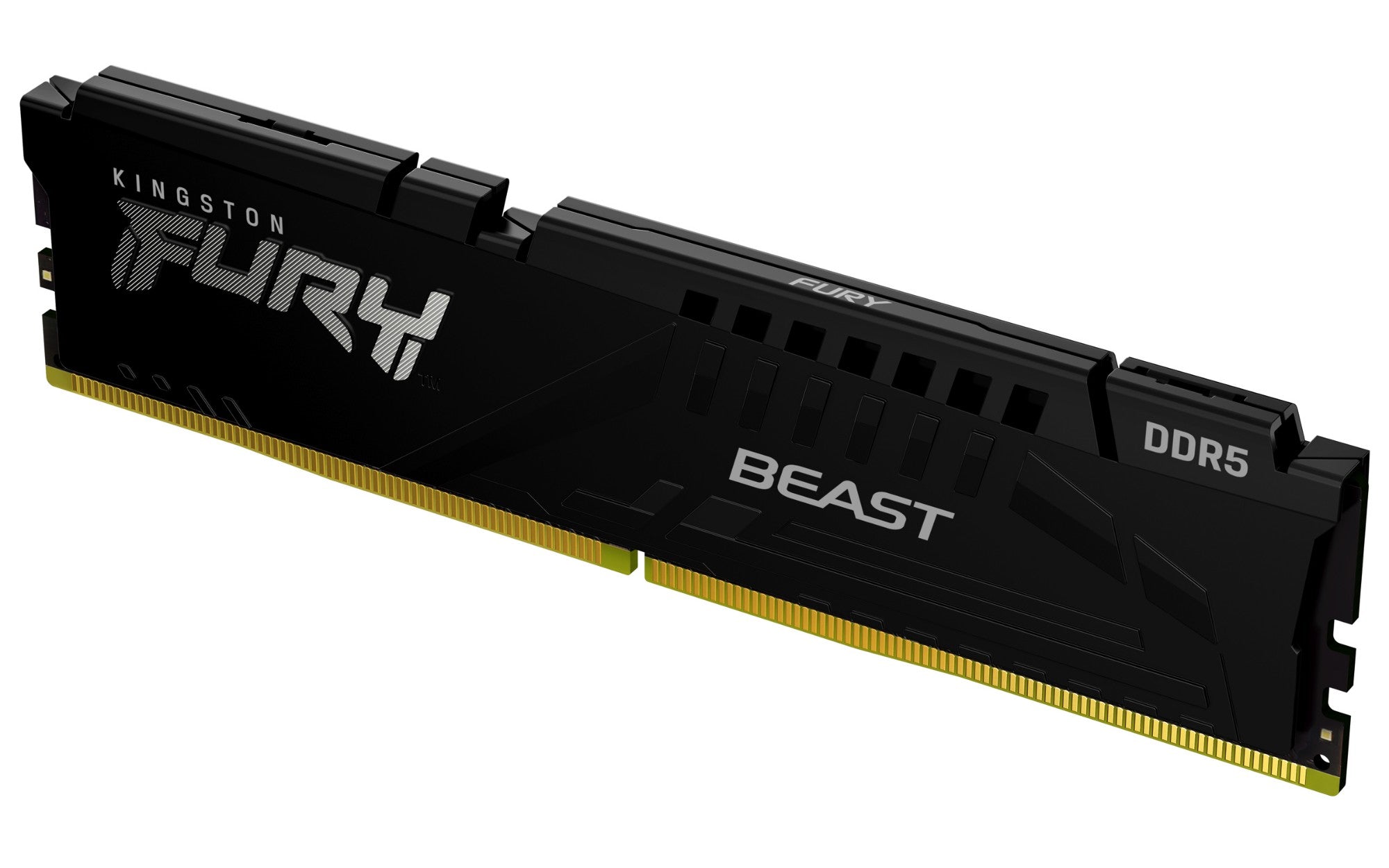 Kingston Technology FURY Beast 8GB 6000MT/s DDR5 CL36 DIMM Black EXPO