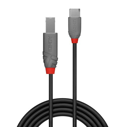 Lindy 1m USB 2.0 Type C to B Cable, Anthra Line