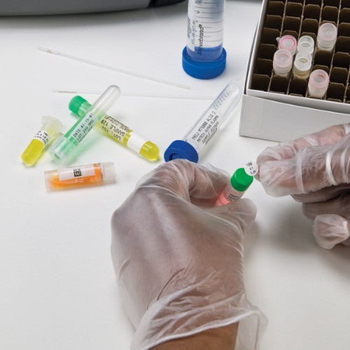 Brady B33-144-499 printer label White Self-adhesive printer label