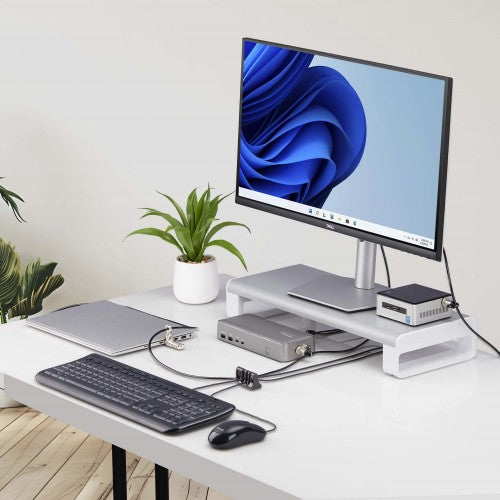 StarTech.com Peripheral Cable Anchor Lock, Secure Keyboard/Mouse, Cable Lock For Shared Office/Public Computers, Cable Trap Compatible w/Laptop Security Cable/Padlock - TAA