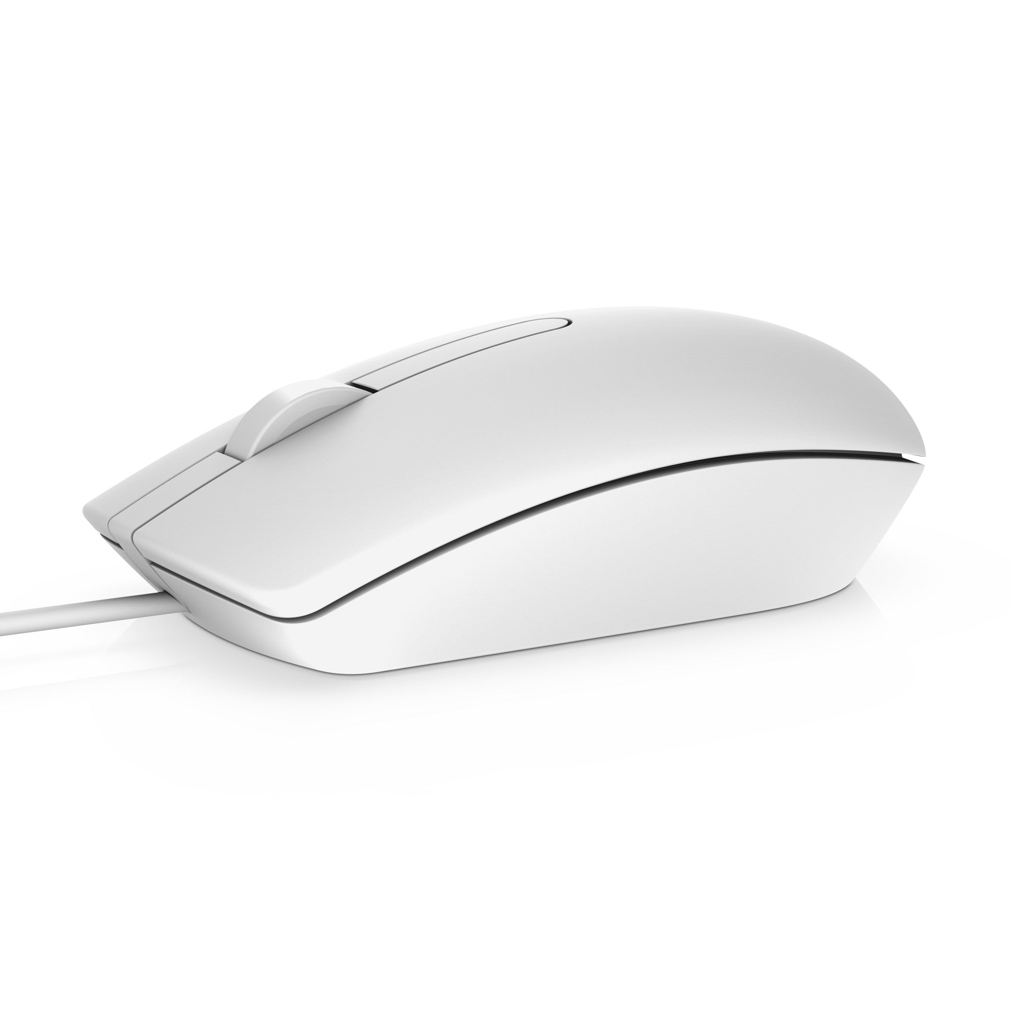 DELL MS116 mouse Ambidextrous USB Type-A Optical 1000 DPI