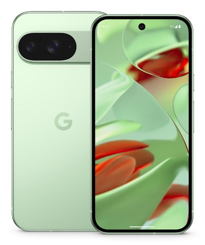 Google Pixel 9 16 cm (6.3"), 12 GB, 256 GB, 50 MP, Android 14, Wintergreen