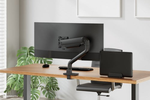 Neomounts NSLS300BLACK Laptop holder 11-17" - universal