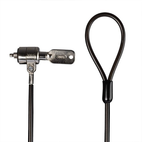 Lindy Notebook Security Cable