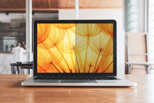 3M Bright Screen Privacy Filter for HP® EliteBook x360 1030 G2, 16:9, BPNHP001