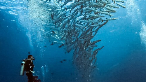 GoPro Protective Housing HERO12, HERO11, HERO10 & HERO9 Black