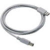 Datalogic Straight Cable - Type A USB USB cable 2 m