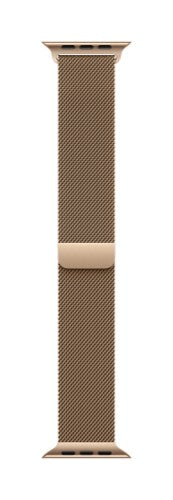 Apple 42mm Gold Milanese Loop