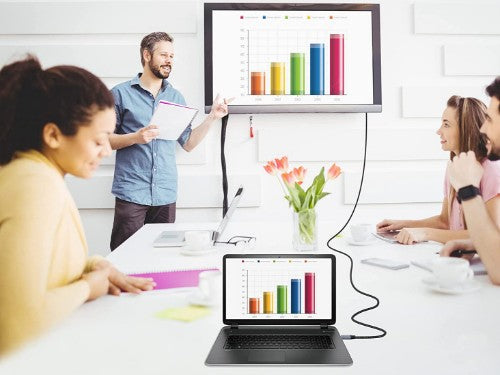 Equip DisplayPort 2.1 Premium Cable, 3.0m, 16K/60Hz, 54Gbps