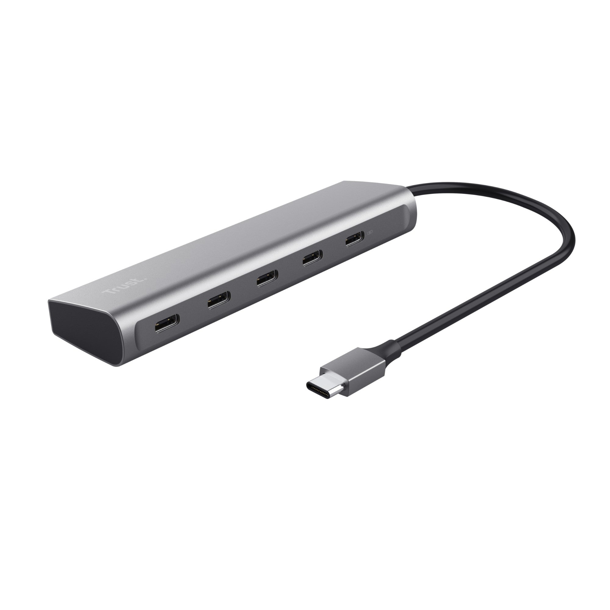 Trust Halyx USB 3.2 Gen 1 (3.1 Gen 1) Type-C Silver