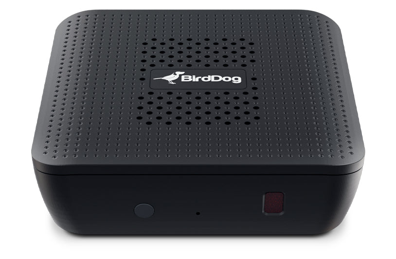 BirdDog PLAY Active video converter 3840 x 2160 pixels